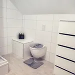 Апартаменты Big House *