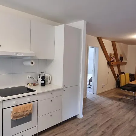 Big House Apartment